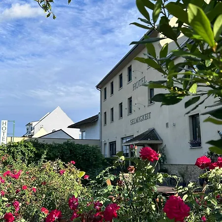 幸福酒店 酒店 莱茵河畔的宾根