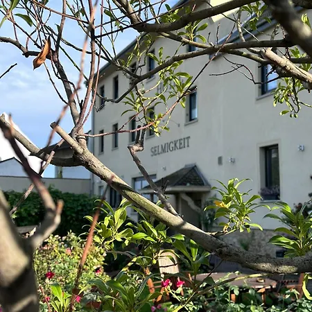 酒店 幸福酒店 莱茵河畔的宾根