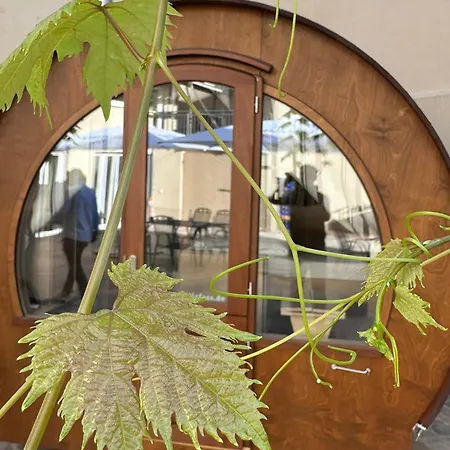 Hotel Weinhaus Selmigkeit
