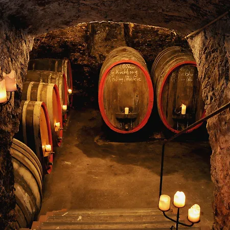 幸福酒店 3* 莱茵河畔的宾根