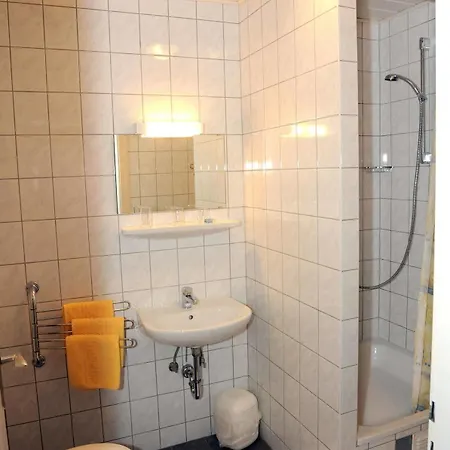 酒店 幸福酒店 莱茵河畔的宾根