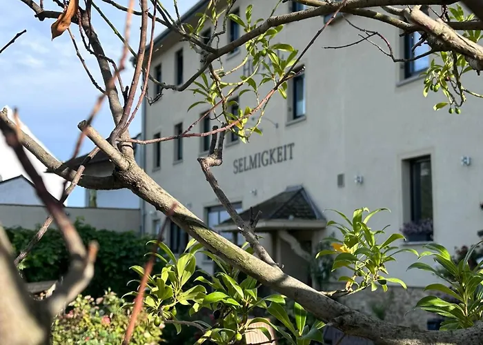 Hotel Weinhaus Selmigkeit Bingen am Rhein