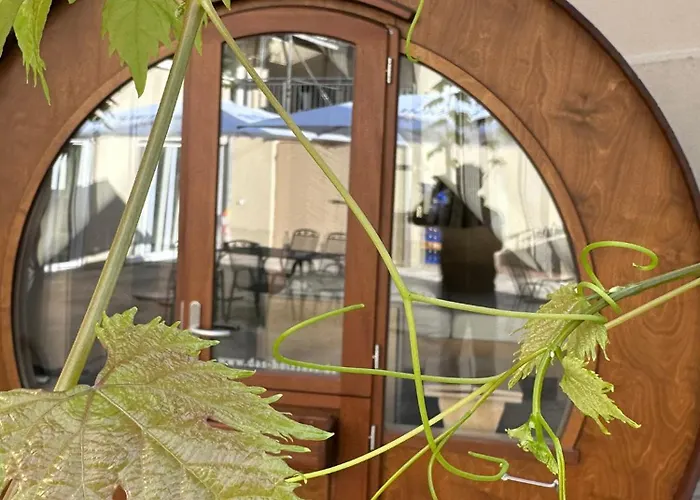 Weinhaus Selmigkeit Hotel