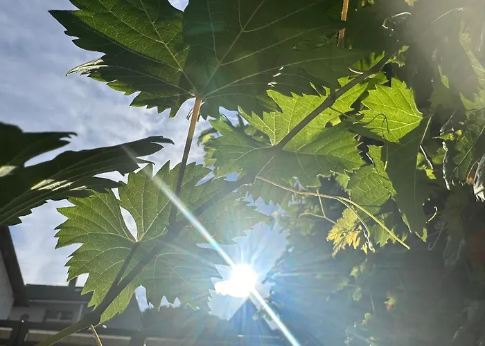 Weinhaus Selmigkeit Hotel Bingen am Rhein