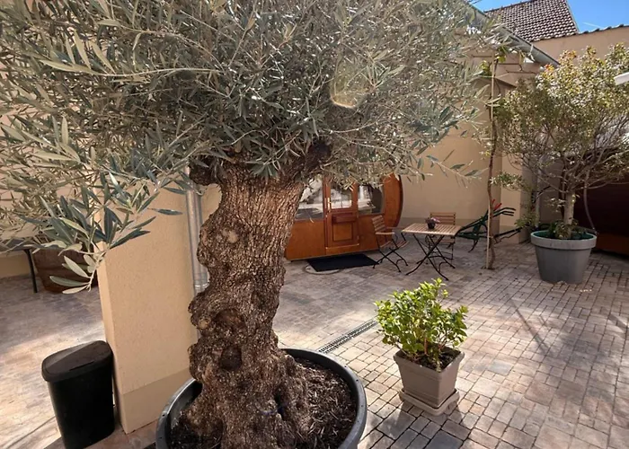 Weinhaus Selmigkeit 3*